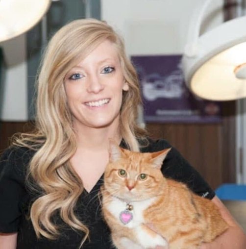 Vet tech holding an orange tabby cat