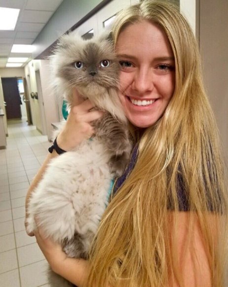 Smiling vet tech cheek to cheek with a fluffy Himalayan cat